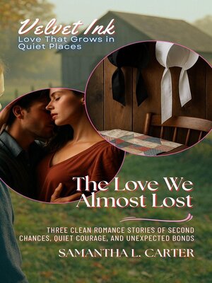 cover image of The Love We Almost Lost